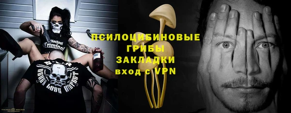 гидропоника Пересвет