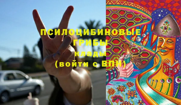 гидропоника Пересвет