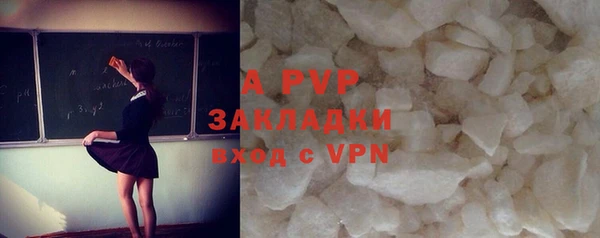 гидропоника Пересвет