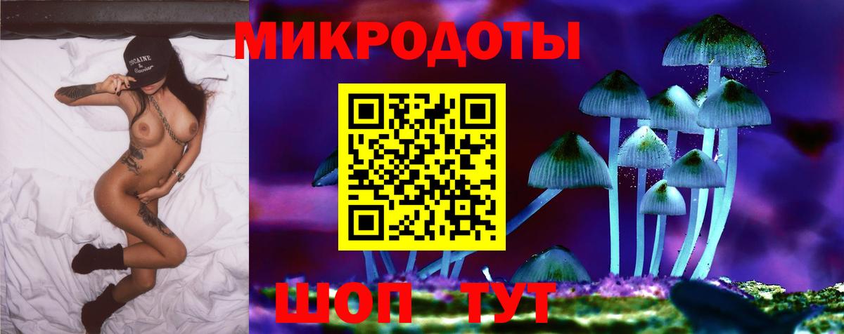 Клин  Галлюциногенные грибы Psilocybine cubensis  Вход с VPN  Галлюциногенные грибы Psilocybe 