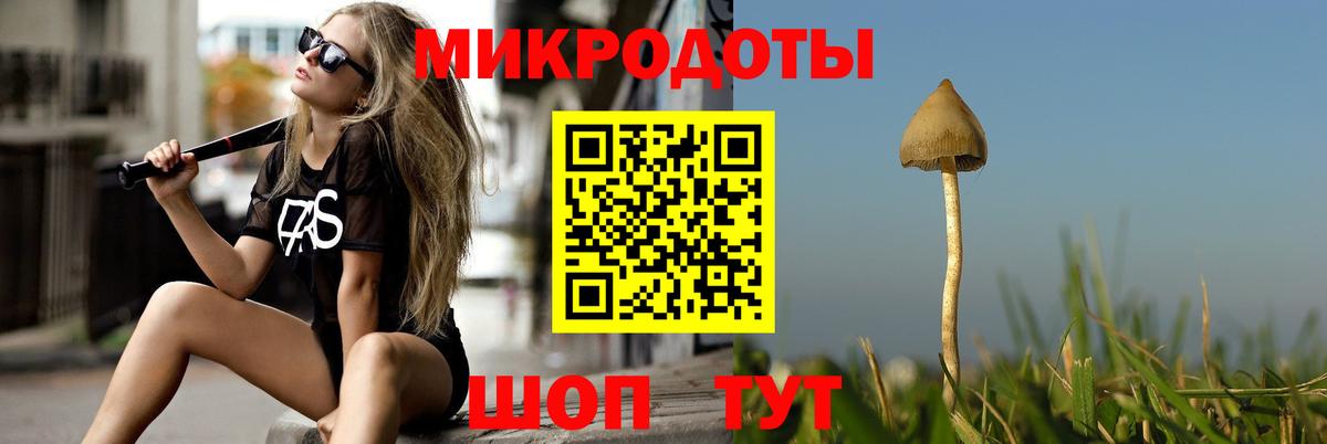 Галлюциногенные грибы Psilocybe Клин